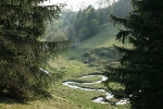 Fluss im Apfelstädtgrund